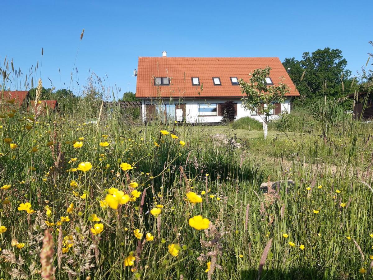 Siedlisko Gregorowo Apartment Ustka Ngoại thất bức ảnh